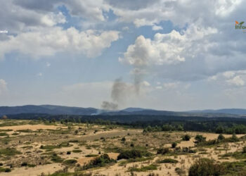 Controlado el incendio forestal de Checa tras un amplio despliegue en el Alto Tajo