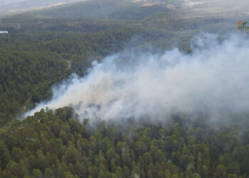 Extinguido de madrugada el incendio forestal detectado ayer en Mira