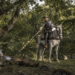 Con este spot te anunciamos que este viernes nos zambullimos en los capítulos 14, 15 y 16 de la segunda parte del Quijote