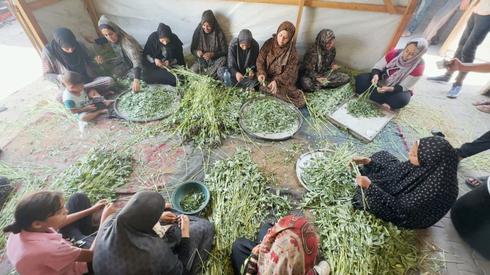 Castilla-La Mancha refuerza su respuesta ante las grandes crisis humanitarias respaldando a 22 proyectos Castilla-La Mancha refuerza su respuesta ante las grandes crisis humanitarias respaldando a 22 proyectos