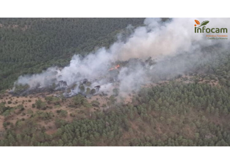 Controlado el incendio forestal en Valdecabras