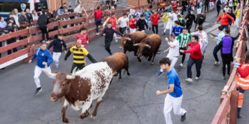 Guadalajara corona su encierro más veloz con los toros de Román Sorando en el casco histórico