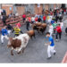 Guadalajara corona su encierro más veloz con los toros de Román Sorando en el casco histórico