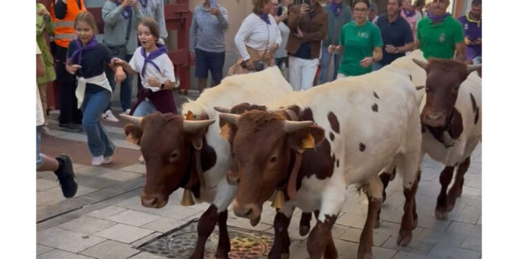 Guadalajara congrega a cientos de familias en su encierro chico y certamen de recortes infantiles Guadalajara congrega a cientos de familias en su encierro chico y certamen de recortes infantiles
