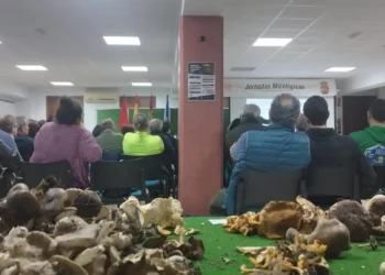 Cardenete reúne a expertos y asociaciones en el primer congreso micológico provincial