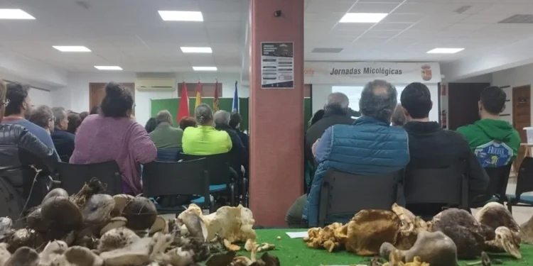 Cardenete reúne a expertos y asociaciones en el primer congreso micológico provincial Cardenete reúne a expertos y asociaciones en el primer congreso micológico provincial
