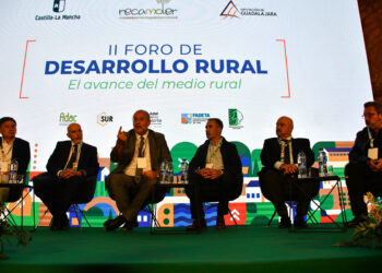 Castilla-La Mancha abordará en el Estatuto del Pequeño Municipio una normativa urbanística diferenciada para las zonas rurales