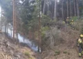 Controlado el incendio forestal de El Cardoso de la Sierra tras el despliegue de retenes y helicópteros