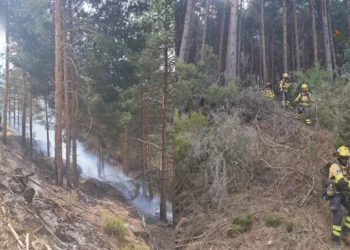 Controlado el incendio forestal de El Cardoso de la Sierra tras el despliegue de retenes y helicópteros