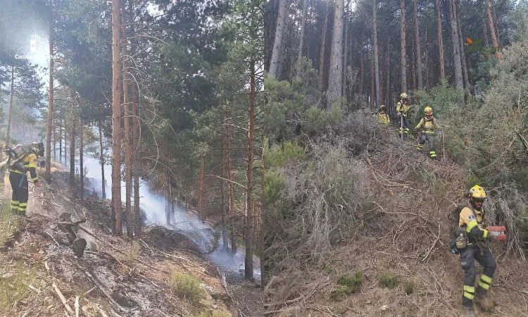 Controlado el incendio forestal de El Cardoso de la Sierra tras el despliegue de retenes y helicópteros