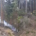 Controlado el incendio forestal de El Cardoso de la Sierra tras el despliegue de retenes y helicópteros