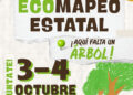Cuenca prepara un mapeo ciudadano de calles y parques para identificar alcorques vacíos y árboles secos