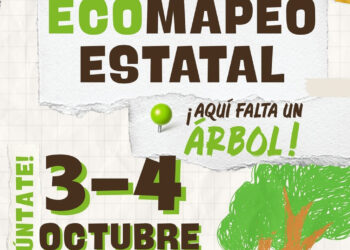 Cuenca prepara un mapeo ciudadano de calles y parques para identificar alcorques vacíos y árboles secos