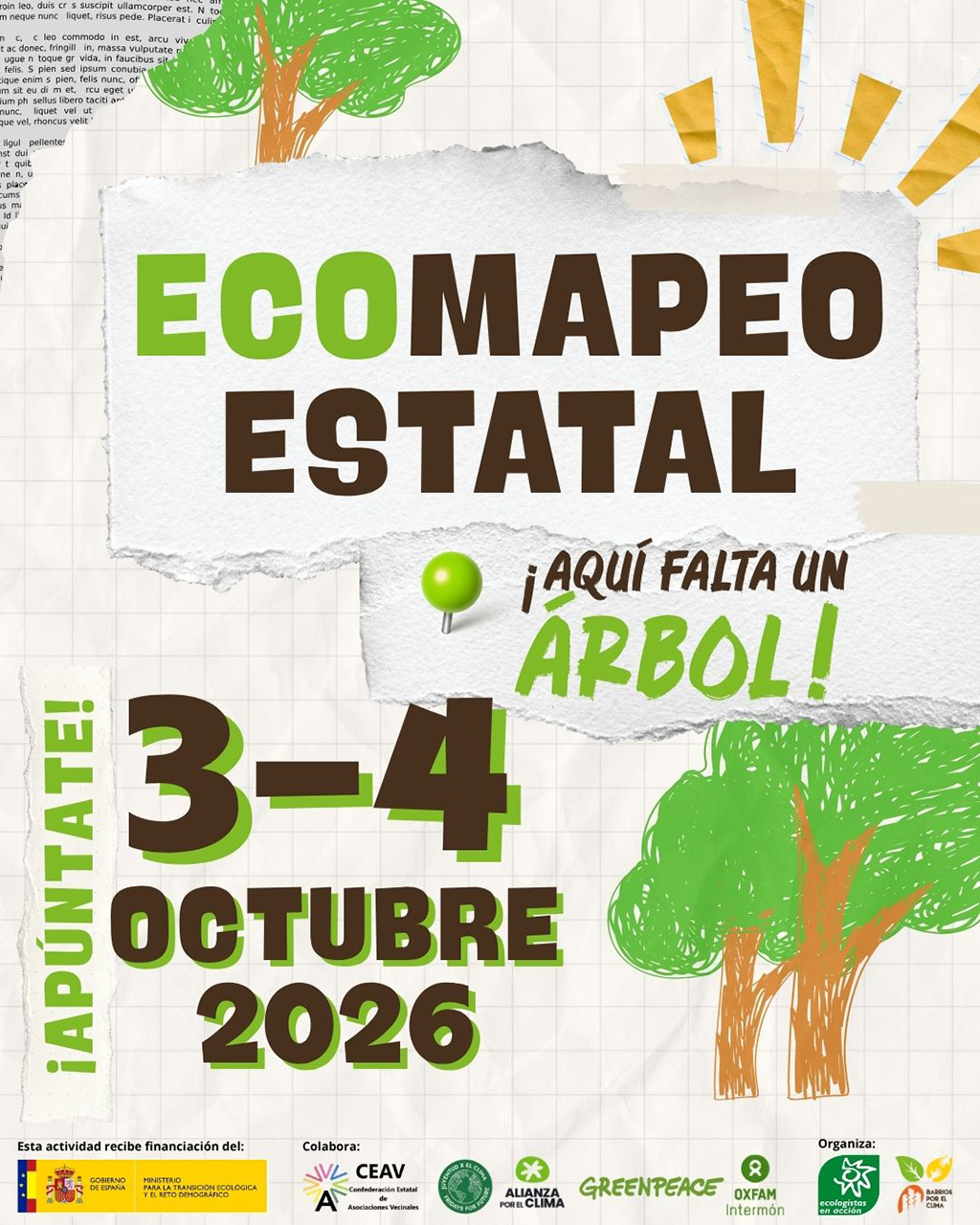 Cuenca prepara un mapeo ciudadano de calles y parques para identificar alcorques vacíos y árboles secos Cuenca prepara un mapeo ciudadano de calles y parques para identificar alcorques vacíos y árboles secos