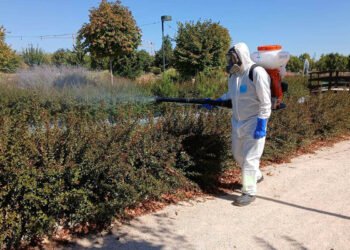 El Ayuntamiento de Cabanillas realiza tratamientos extraordinarios contra los mosquitos, ante la prolongación de las altas temperaturas