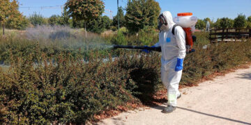 El Ayuntamiento de Cabanillas realiza tratamientos extraordinarios contra los mosquitos, ante la prolongación de las altas temperaturas
