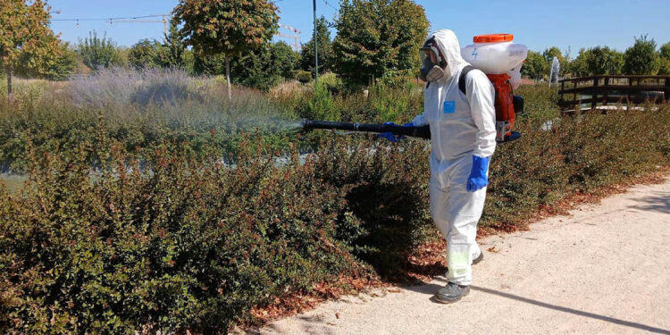 El Ayuntamiento de Cabanillas realiza tratamientos extraordinarios contra los mosquitos, ante la prolongación de las altas temperaturas El Ayuntamiento de Cabanillas realiza tratamientos extraordinarios contra los mosquitos, ante la prolongación de las altas temperaturas