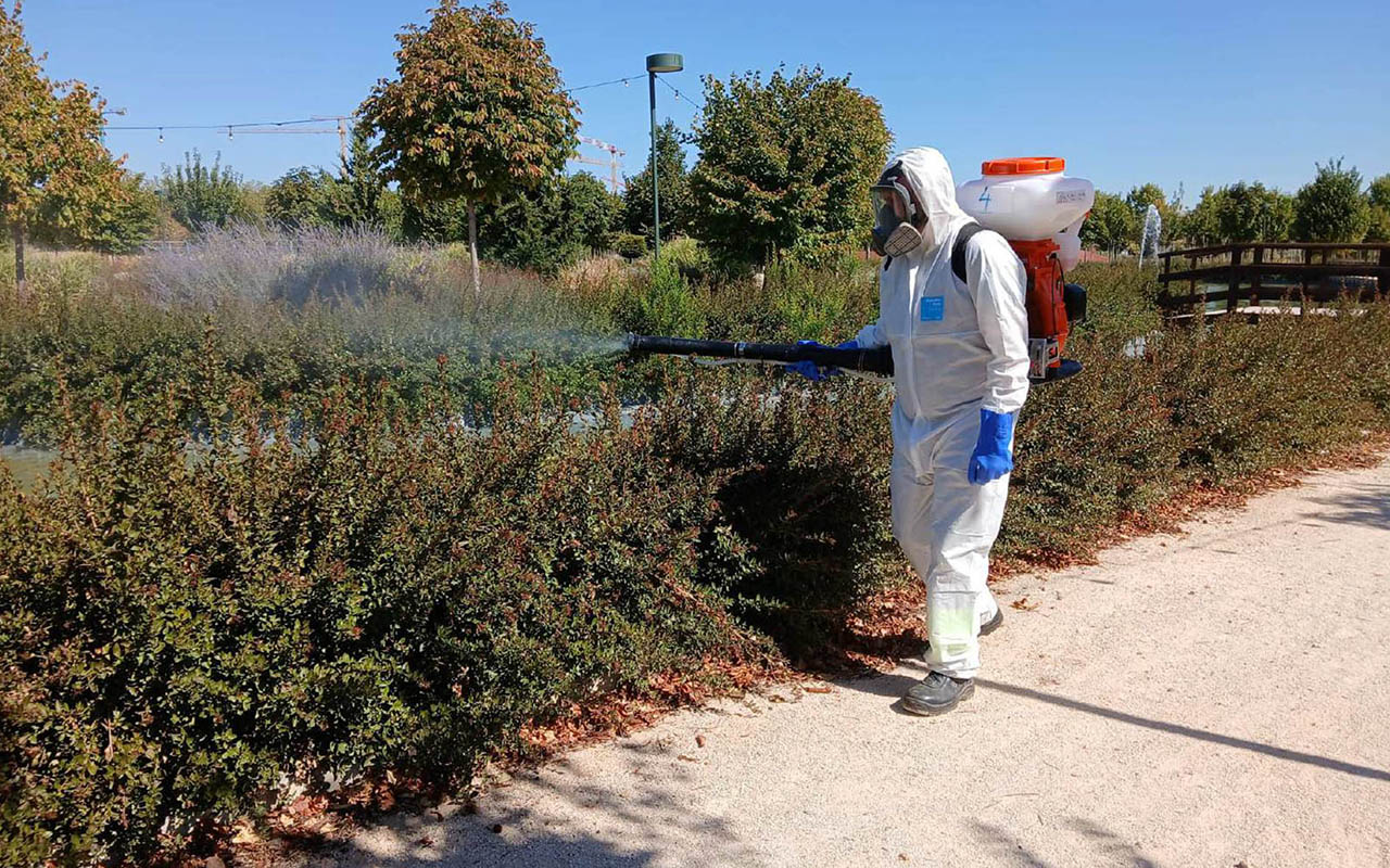 El Ayuntamiento de Cabanillas realiza tratamientos extraordinarios contra los mosquitos, ante la prolongación de las altas temperaturas El Ayuntamiento de Cabanillas realiza tratamientos extraordinarios contra los mosquitos, ante la prolongación de las altas temperaturas