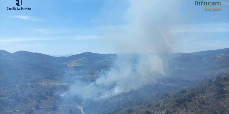 El incendio de El Cardoso activa el protocolo conjunto con Madrid: medios de ambas regiones intervienen en la Sierra Norte El incendio de El Cardoso activa el protocolo conjunto con Madrid: medios de ambas regiones intervienen en la Sierra Norte