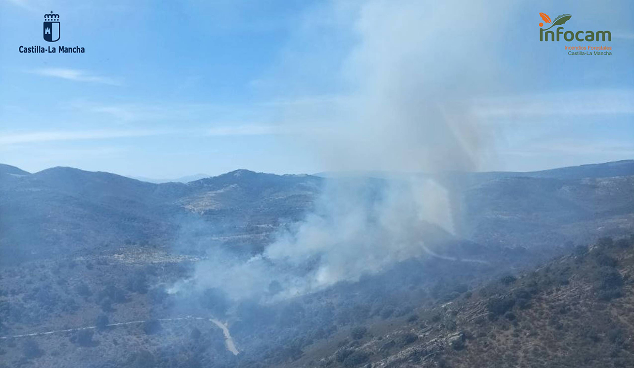 El incendio de El Cardoso activa el protocolo conjunto con Madrid: medios de ambas regiones intervienen en la Sierra Norte El incendio de El Cardoso activa el protocolo conjunto con Madrid: medios de ambas regiones intervienen en la Sierra Norte