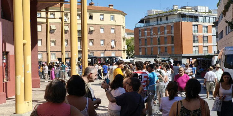 El PSOE denuncia largas colas al sol en la plaza de toros de Guadalajara por los pases de los encierros El PSOE denuncia largas colas al sol en la plaza de toros de Guadalajara por los pases de los encierros