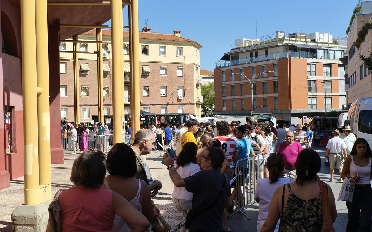 El PSOE denuncia largas colas al sol en la plaza de toros de Guadalajara por los pases de los encierros El PSOE denuncia largas colas al sol en la plaza de toros de Guadalajara por los pases de los encierros