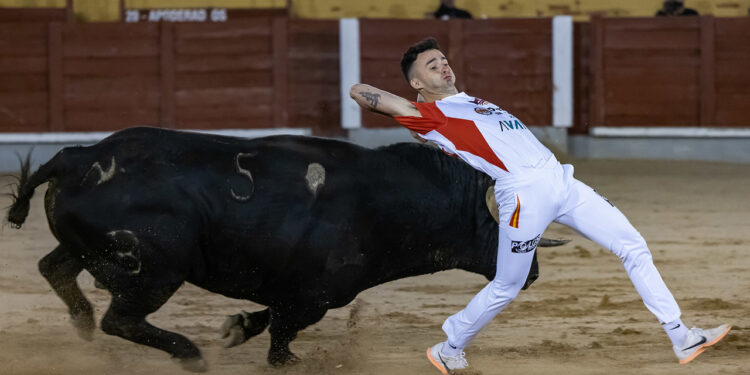“El Peta” gana en Guadalajara el Concurso nacional de Recortadores una tarde vibrante marcada por la emoción “El Peta” gana en Guadalajara el Concurso nacional de Recortadores una tarde vibrante marcada por la emoción
