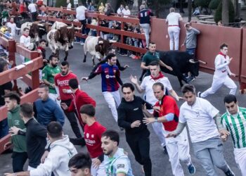 El tercer encierro de Guadalajara llena el coso de Las Cruces en una carrera limpia de casi seis minutos El tercer encierro de Guadalajara llena el coso de Las Cruces en una carrera limpia de casi seis minutos