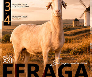 San Clemente reúne a más de 40 expositores y la élite del ovino manchego en la XXII edición de FERAGA