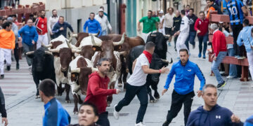 Guadalajara abrirá gratis la plaza de toros tras un segundo encierro veloz con dos heridos leves