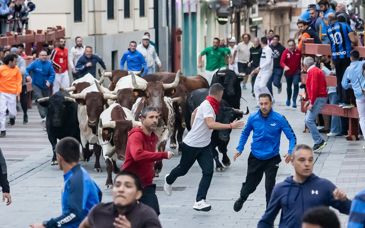 Guadalajara abrirá gratis la plaza de toros tras un segundo encierro veloz con dos heridos leves Guadalajara abrirá gratis la plaza de toros tras un segundo encierro veloz con dos heridos leves