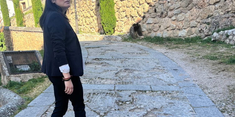 Jiménez propone incorporar a los vecinos del Castillo a la zona de estacionamiento residencial del Casco Antiguo Jiménez propone incorporar a los vecinos del Castillo a la zona de estacionamiento residencial del Casco Antiguo