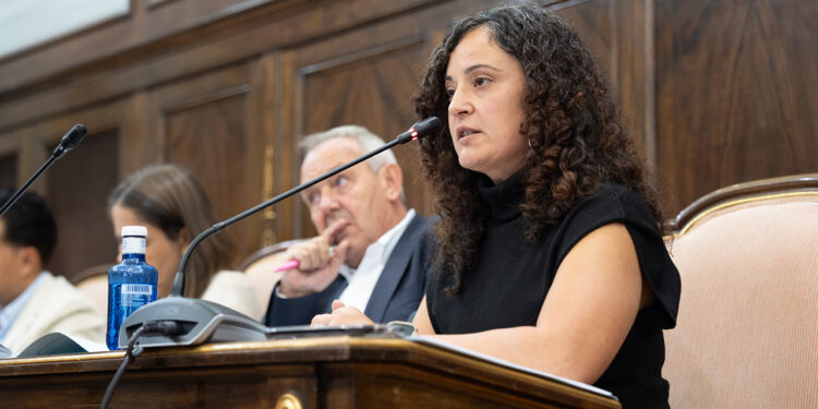La Diputación de Guadalajara aprueba su primer Plan de Igualdad para el periodo 2026-2030 La Diputación de Guadalajara aprueba su primer Plan de Igualdad para el periodo 2026-2030