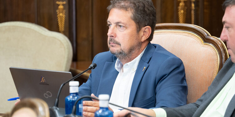 La Diputación de Guadalajara ha ejercido la función del secretario municipal en 69 pueblos de la provincia este año