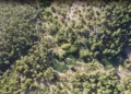 La Guardia Civil desmantela dos macroplantaciones de marihuana en los montes de Huélamo y San Martín de Boniches