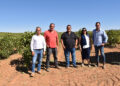 La Junta abona cerca de un millón de euros para modernizar 304 hectáreas de viñedo en la provincia de Cuenca