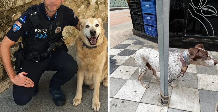 La Policía Local de Cuenca propone para sanción a dos dueños por dejar a un perro atado a una señal y a otro suelto La Policía Local de Cuenca propone para sanción a dos dueños por dejar a un perro atado a una señal y a otro suelto