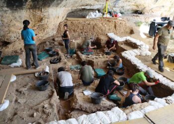 La novena campaña en La Malia afianza a Tamajón como referente para entender a los primeros Homo sapiens