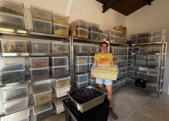 Las plantas medicinales reviven Arandilla del Arroyo: el proyecto artesanal y sostenible que respalda Invierte en Cuenca