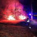 Los Bomberos de Guadalajara sofocan un incendio nocturno en el parque de San Francisco
