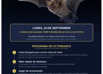 Los Pinillos acoge ‘La Noche de los Murciélagos’ con rastreo de ultrasonidos en Fuente del Oro Los Pinillos acoge ‘La Noche de los Murciélagos’ con rastreo de ultrasonidos en Fuente del Oro
