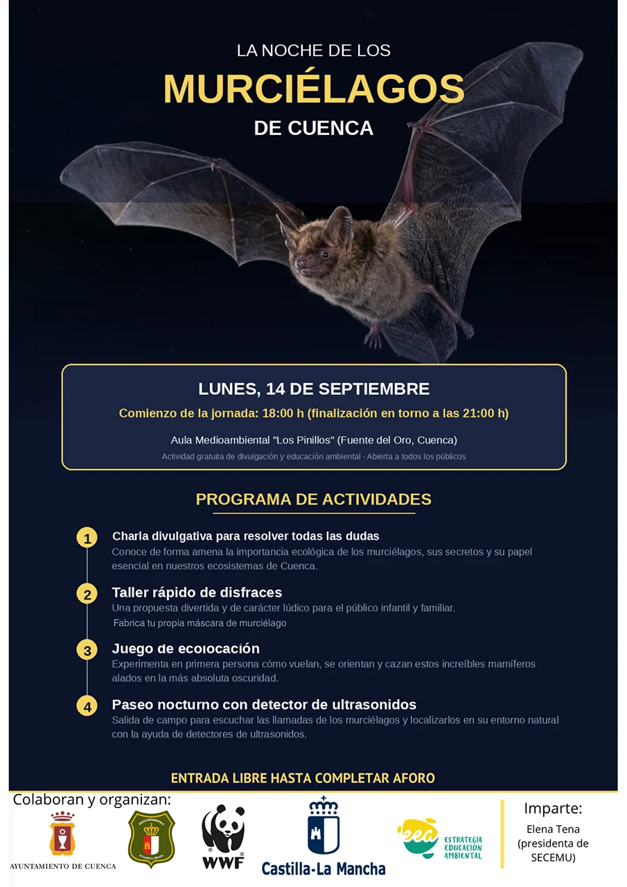 Los Pinillos acoge ‘La Noche de los Murciélagos’ con rastreo de ultrasonidos en Fuente del Oro Los Pinillos acoge ‘La Noche de los Murciélagos’ con rastreo de ultrasonidos en Fuente del Oro