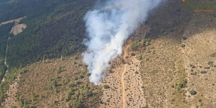 Medios aéreos y terrestres controlan un fuego forestal arbolado en Yémeda Medios aéreos y terrestres controlan un fuego forestal arbolado en Yémeda