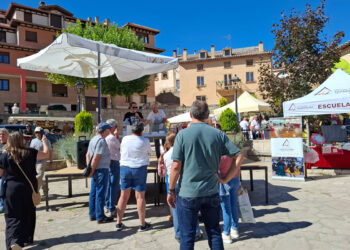 Molina de Aragón estrena un sello de carne comarcal en su IV Feria Ganadera