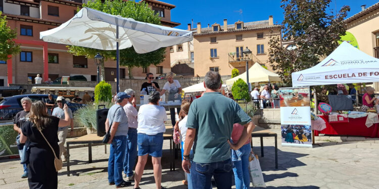 Molina de Aragón estrena un sello de carne comarcal en su IV Feria Ganadera
