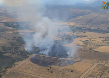 Controlado el incendio forestal en Uceda tras el despliegue de 22 medios y más de 70 efectivos Controlado el incendio forestal en Uceda tras el despliegue de 22 medios y más de 70 efectivos