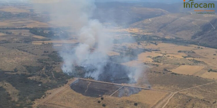 Controlado el incendio forestal en Uceda tras el despliegue de 22 medios y más de 70 efectivos Controlado el incendio forestal en Uceda tras el despliegue de 22 medios y más de 70 efectivos