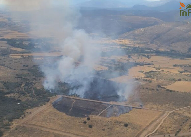 Controlado el incendio forestal en Uceda tras el despliegue de 22 medios y más de 70 efectivos