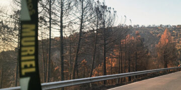 Muriel se moviliza con la iniciativa ‘Somos Muriel’ para comprar material contra incendios y regenerar su entorno calcinado