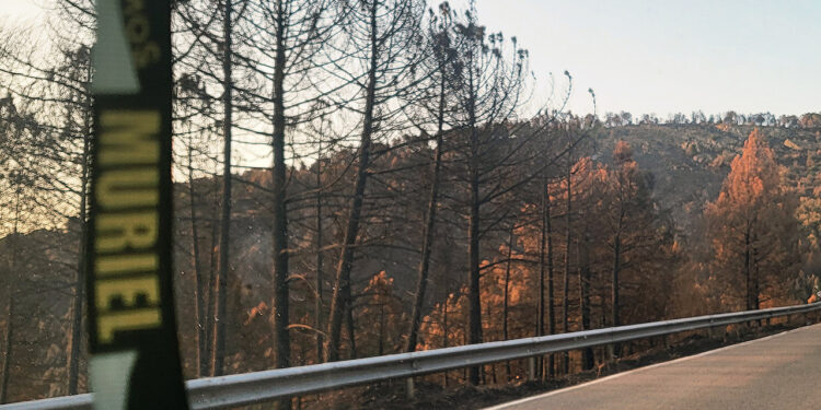 Muriel se moviliza con la iniciativa ‘Somos Muriel’ para comprar material contra incendios y regenerar su entorno calcinado